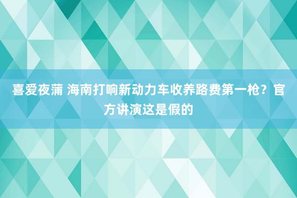 喜爱夜蒲 海南打响新动力车收养路费第一枪？官方讲演这是假的