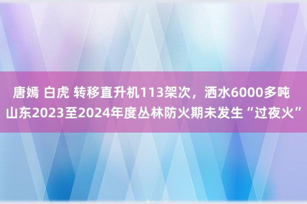 唐嫣 白虎 转移直升机113架次，洒水6000多吨 山东2023至2024年度丛林防火期未发生“过夜火”