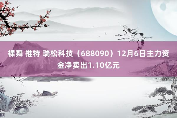 裸舞 推特 瑞松科技（688090）12月6日主力资金净卖出1.10亿元