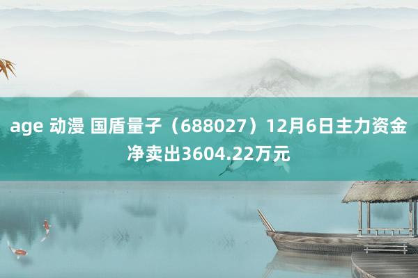 age 动漫 国盾量子（688027）12月6日主力资金净卖出3604.22万元