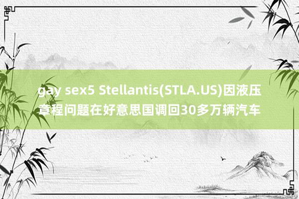 gay sex5 Stellantis(STLA.US)因液压章程问题在好意思国调回30多万辆汽车