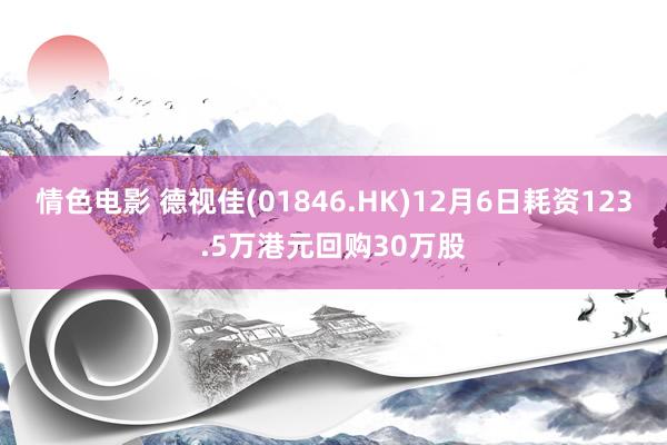 情色电影 德视佳(01846.HK)12月6日耗资123.5万港元回购30万股