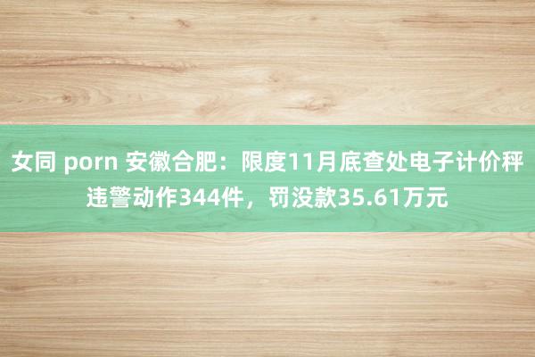 女同 porn 安徽合肥：限度11月底查处电子计价秤违警动作344件，罚没款35.61万元