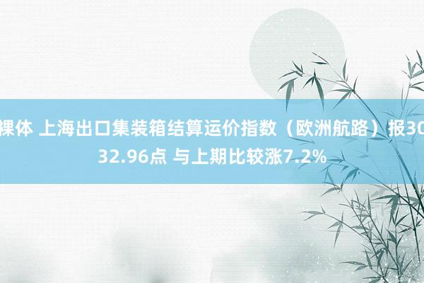 裸体 上海出口集装箱结算运价指数（欧洲航路）报3032.96点 与上期比较涨7.2%