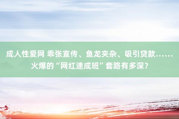 成人性爱网 乖张宣传、鱼龙夹杂、吸引贷款……火爆的“网红速成班”套路有多深？