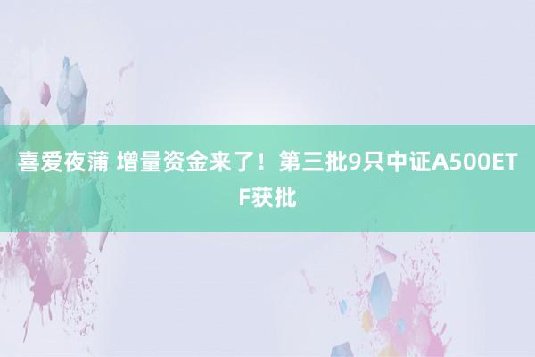 喜爱夜蒲 增量资金来了！第三批9只中证A500ETF获批