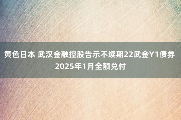 黄色日本 武汉金融控股告示不续期22武金Y1债券 2025年1月全额兑付