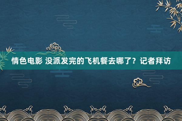 情色电影 没派发完的飞机餐去哪了？记者拜访