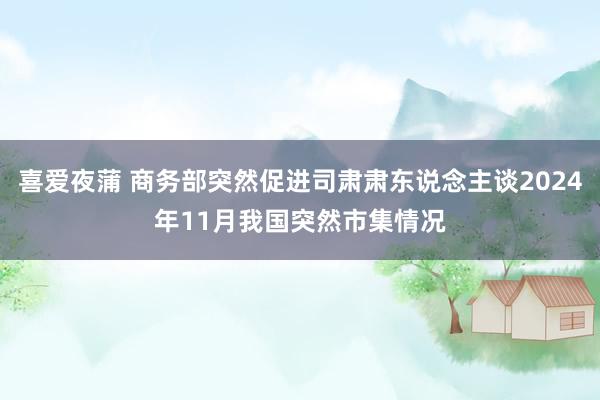 喜爱夜蒲 商务部突然促进司肃肃东说念主谈2024年11月我国突然市集情况