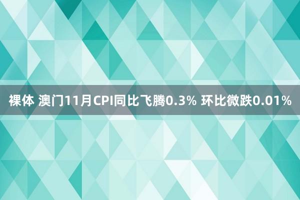 裸体 澳门11月CPI同比飞腾0.3% 环比微跌0.01%