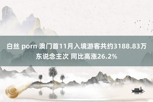 白丝 porn 澳门首11月入境游客共约3188.83万东说念主次 同比高涨26.2%