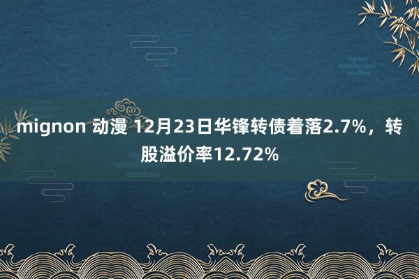 mignon 动漫 12月23日华锋转债着落2.7%，转股溢价率12.72%