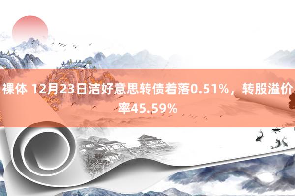 裸体 12月23日洁好意思转债着落0.51%，转股溢价率45.59%