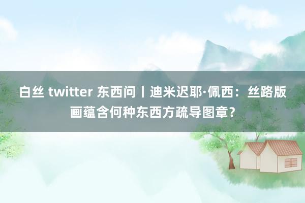 白丝 twitter 东西问丨迪米迟耶·佩西：丝路版画蕴含何种东西方疏导图章？