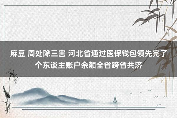 麻豆 周处除三害 河北省通过医保钱包领先完了个东谈主账户余额全省跨省共济