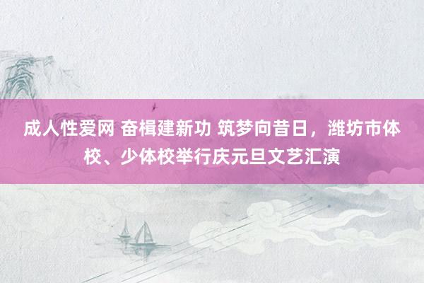 成人性爱网 奋楫建新功 筑梦向昔日，潍坊市体校、少体校举行庆元旦文艺汇演