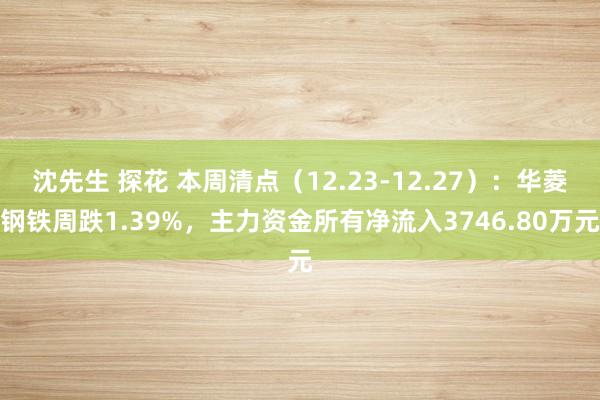 沈先生 探花 本周清点（12.23-12.27）：华菱钢铁周跌1.39%，主力资金所有净流入3746.80万元