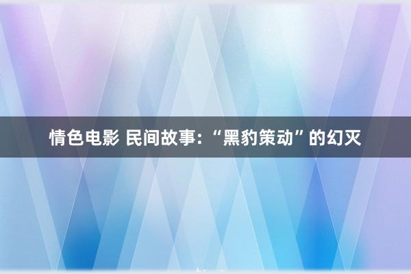 情色电影 民间故事: “黑豹策动”的幻灭