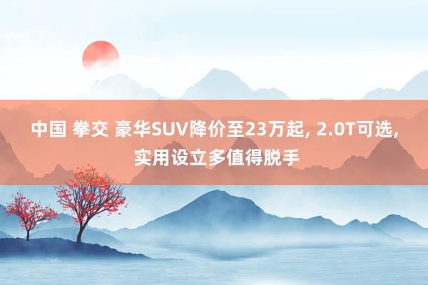 中国 拳交 豪华SUV降价至23万起， 2.0T可选， 实用设立多值得脱手