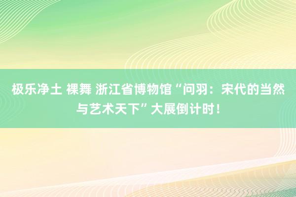 极乐净土 裸舞 浙江省博物馆“问羽：宋代的当然与艺术天下”大展倒计时！