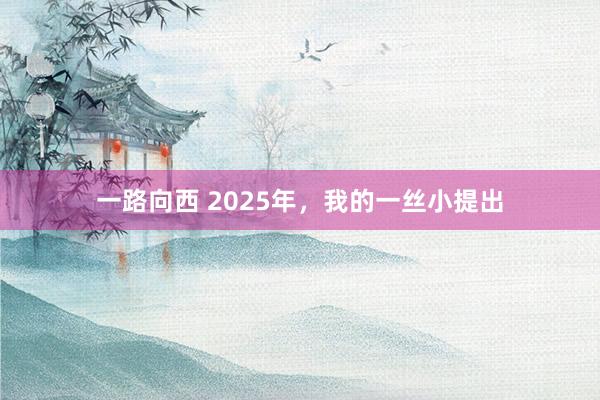 一路向西 2025年，我的一丝小提出