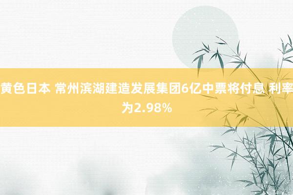 黄色日本 常州滨湖建造发展集团6亿中票将付息 利率为2.98%