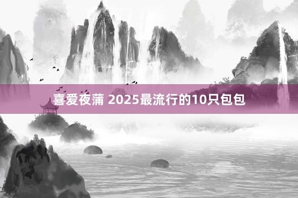 喜爱夜蒲 2025最流行的10只包包