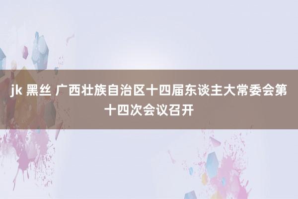 jk 黑丝 广西壮族自治区十四届东谈主大常委会第十四次会议召开