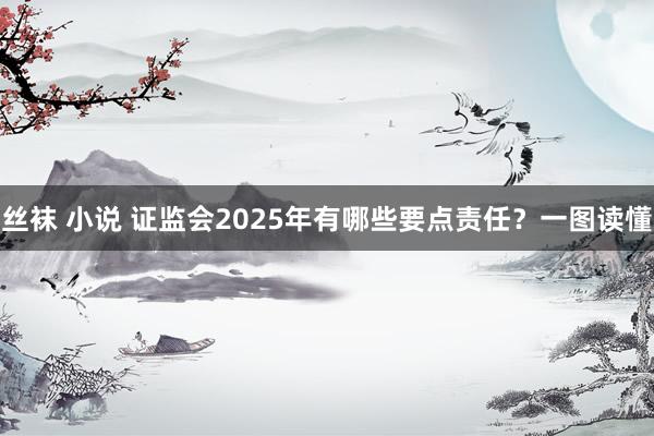 丝袜 小说 证监会2025年有哪些要点责任？一图读懂