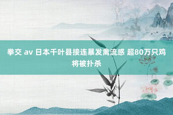 拳交 av 日本千叶县接连暴发禽流感 超80万只鸡将被扑杀