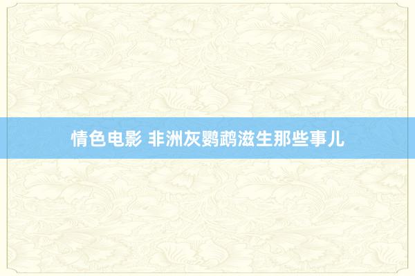 情色电影 非洲灰鹦鹉滋生那些事儿