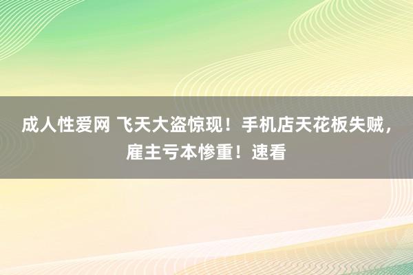 成人性爱网 飞天大盗惊现！手机店天花板失贼，雇主亏本惨重！速看